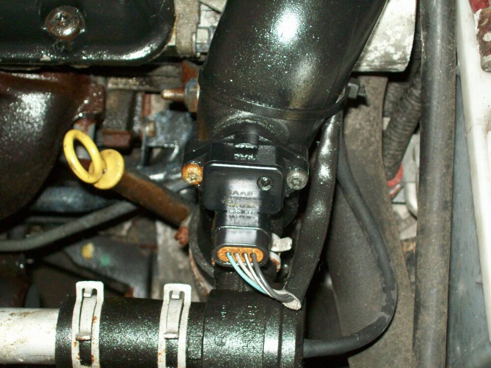 100_2908.thumb.jpg.337b5d8d3eb18800d6f03daa3ea73849.jpg