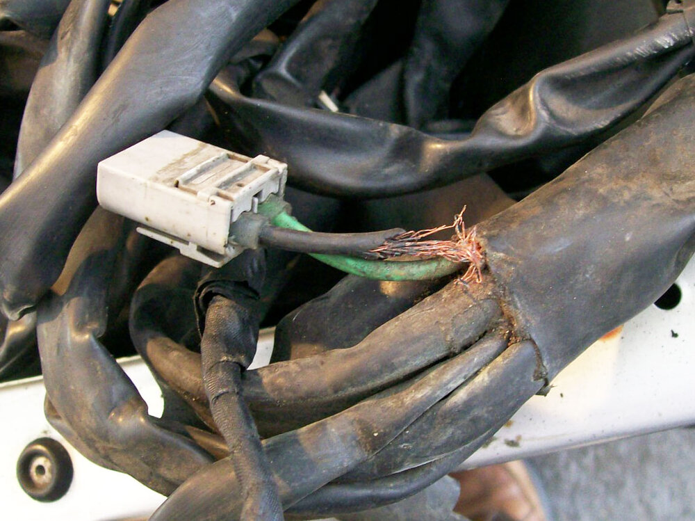 100_4689.thumb.JPG.92a5a9458ff769f5aa7454f5fff07185.JPG