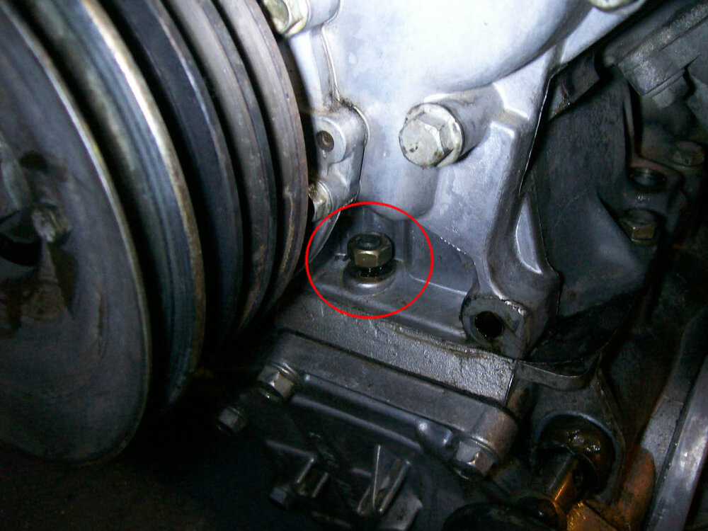 100_6110.thumb.jpg.b688bf2afd5f62fd2da564cdc4791d07.jpg