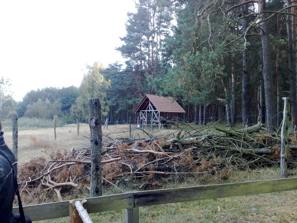 10102009540.thumb.jpg.84d507aaf1c5a8daa75de36f609e119c.jpg