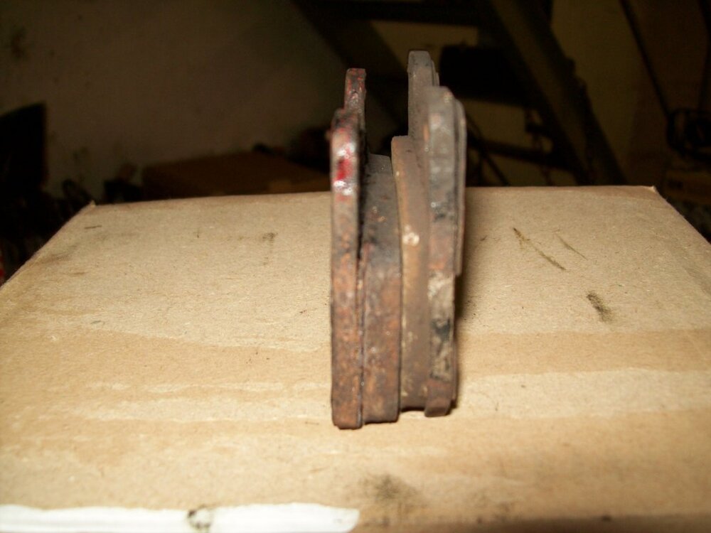 101_0072.thumb.jpg.a9cbeeb20db9fd329913ffe639d48bd8.jpg