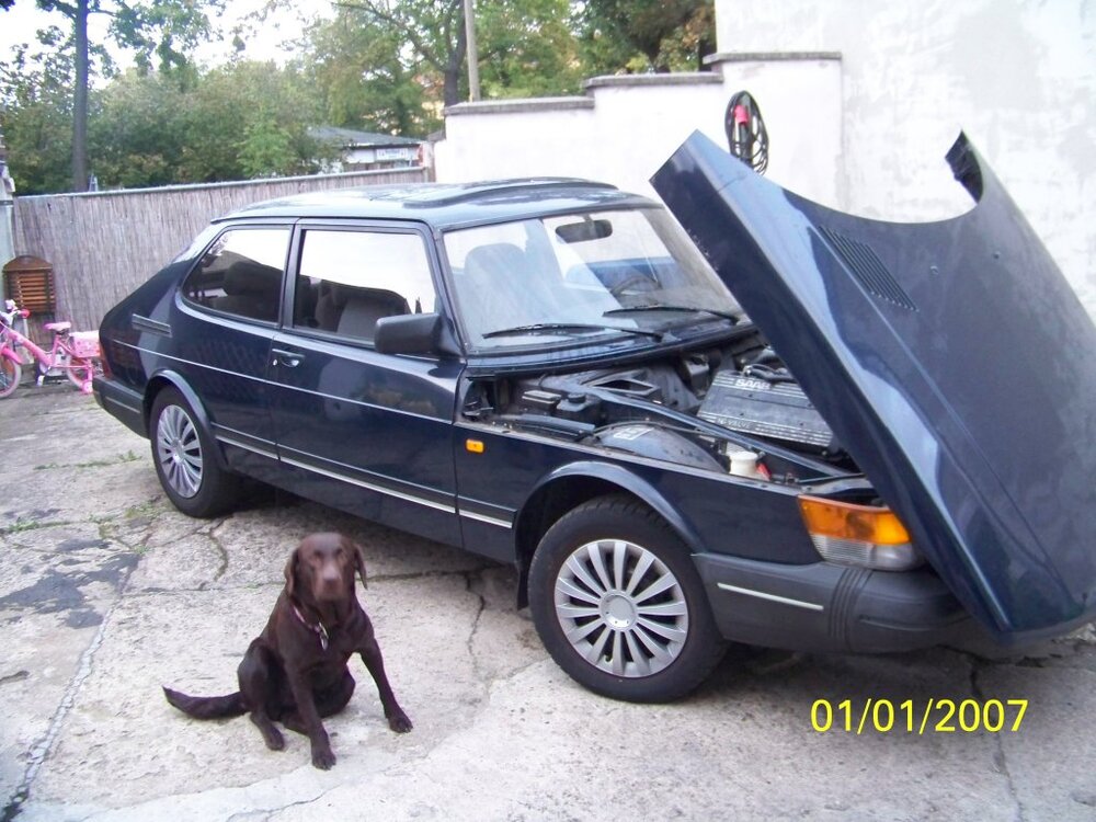 101_0166.thumb.jpg.2a9fb687e1f41e36d8eb99fb38245240.jpg