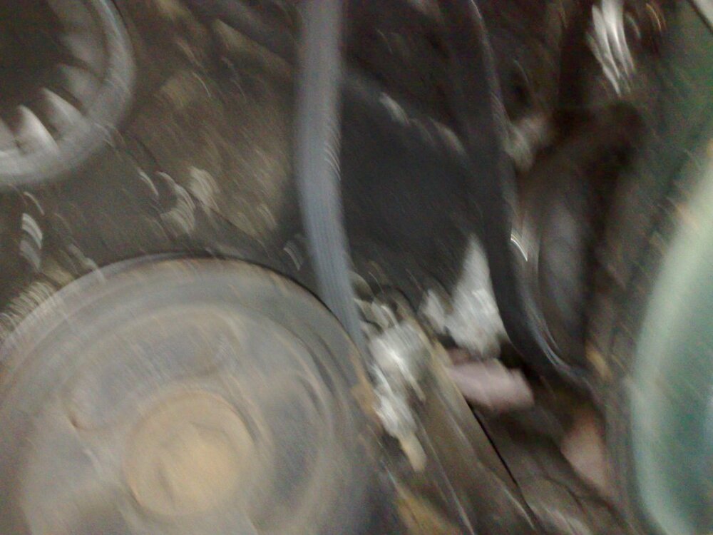 11052011244.thumb.jpg.00c5ac05b5af5b354c9c765a12258fcb.jpg
