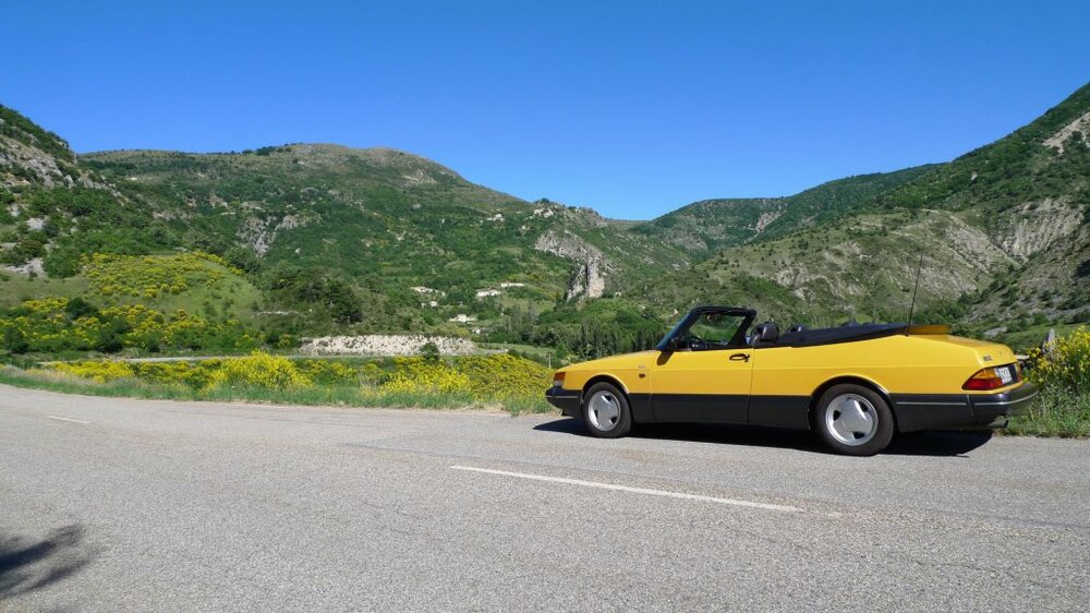 12ProvenceimGinstergelb2.thumb.jpg.3d2ad3acfda3b3310768482df38a32c1.jpg