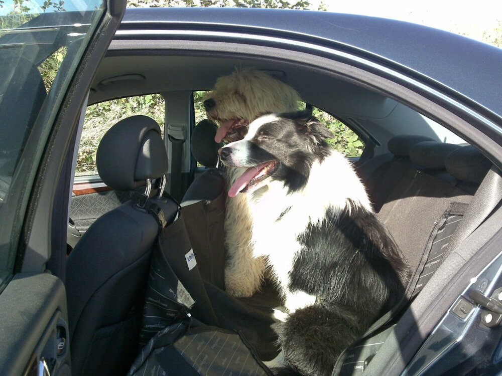 20091007053.thumb.jpg.288731699b63b9d137e7cdd67fba4cdb.jpg