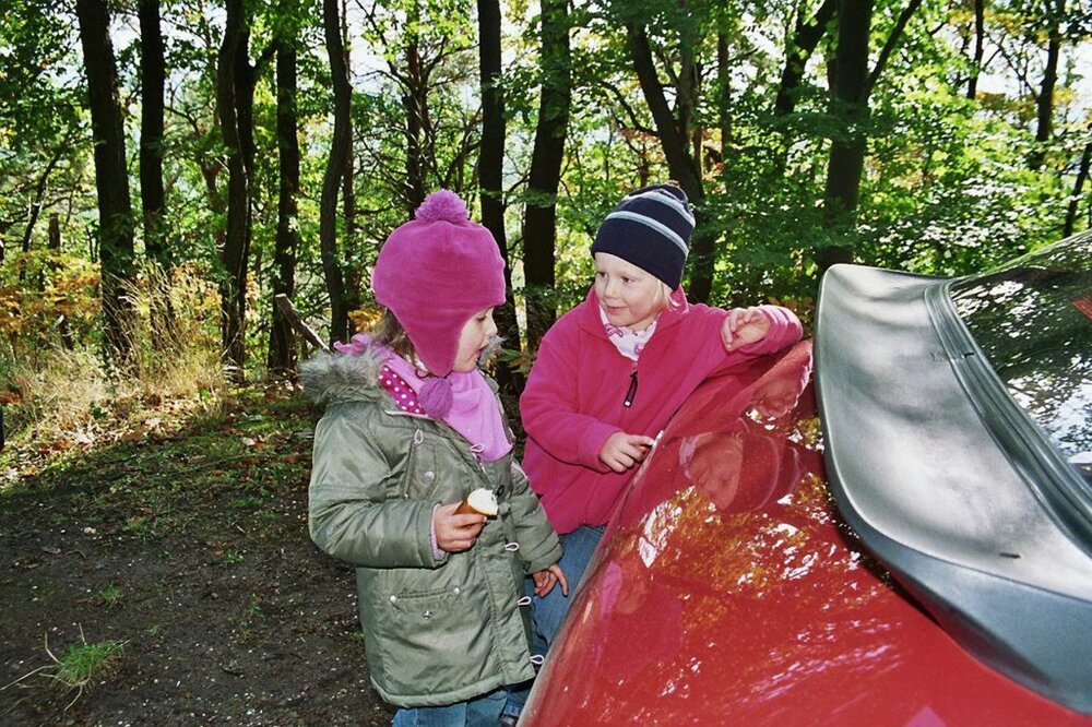 2009_18_0004.thumb.jpg.74f87db56c3b6a7b275009677fb244cb.jpg