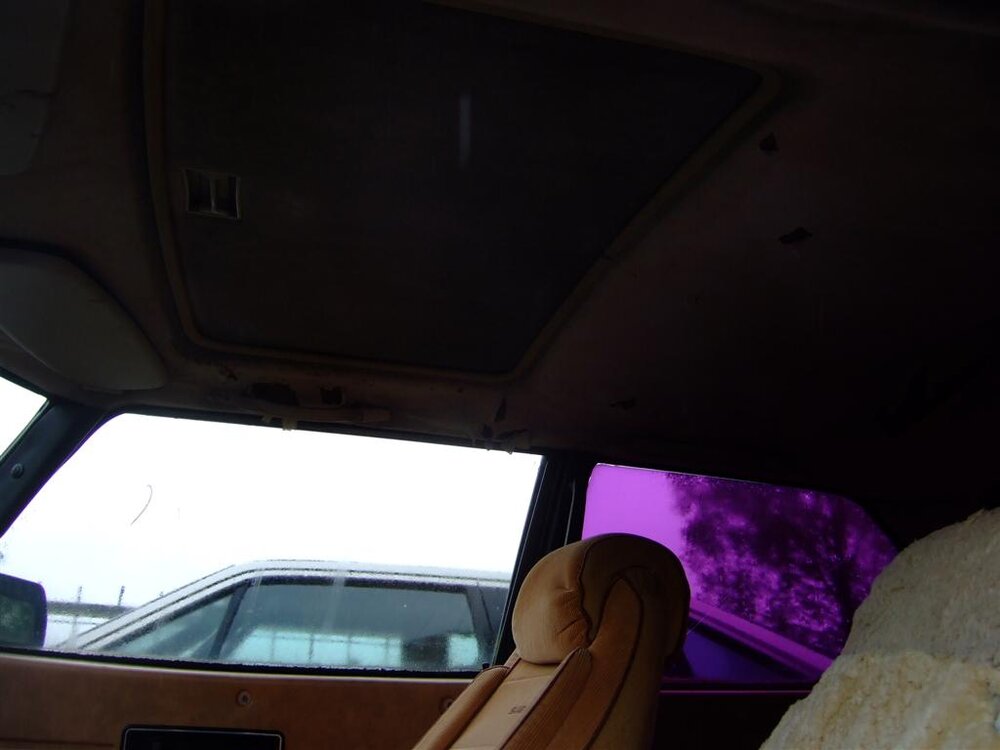 2011_0607_115427(Large).thumb.jpg.0d79d8bac4bba6a2dec5ac818d1fc743.jpg
