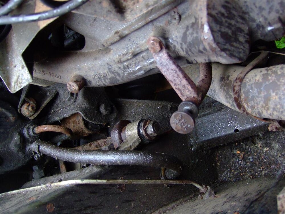 2011_0607_115554(Large).thumb.jpg.5a02c4fd73ac63715f9dae06945d0474.jpg