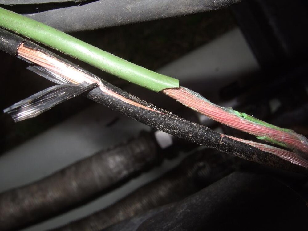 2012_0715_162206.thumb.JPG.a60104e30b69c4d1ad94926a31be718a.JPG