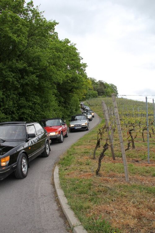 2012_Nordbaden1169.thumb.jpg.4f73cb1af6c349ab1b1c8a358d33aeeb.jpg