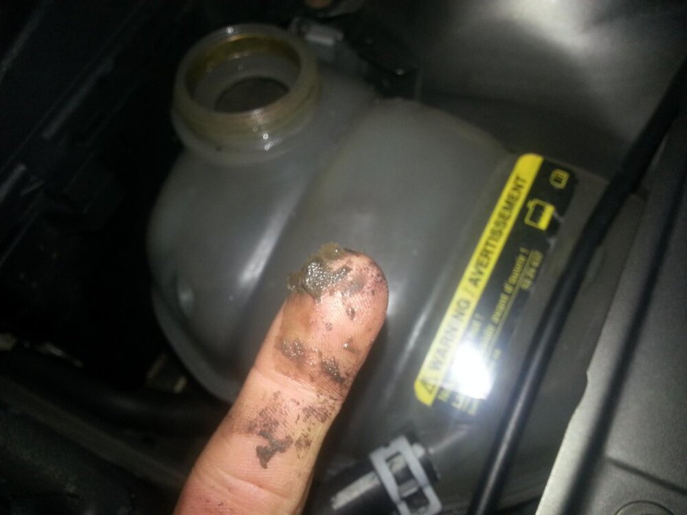 2013-02-0317_28_55.thumb.jpg.abffdcd0aa893bd9d8c419b8a53b95f2.jpg