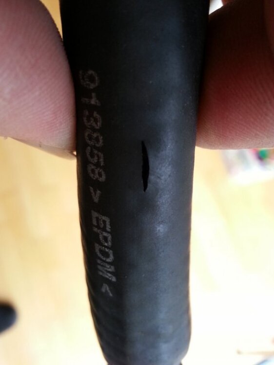 2013-03-2814_39_41.thumb.jpg.843a34f90cd0d737abd72fa1925ba4de.jpg