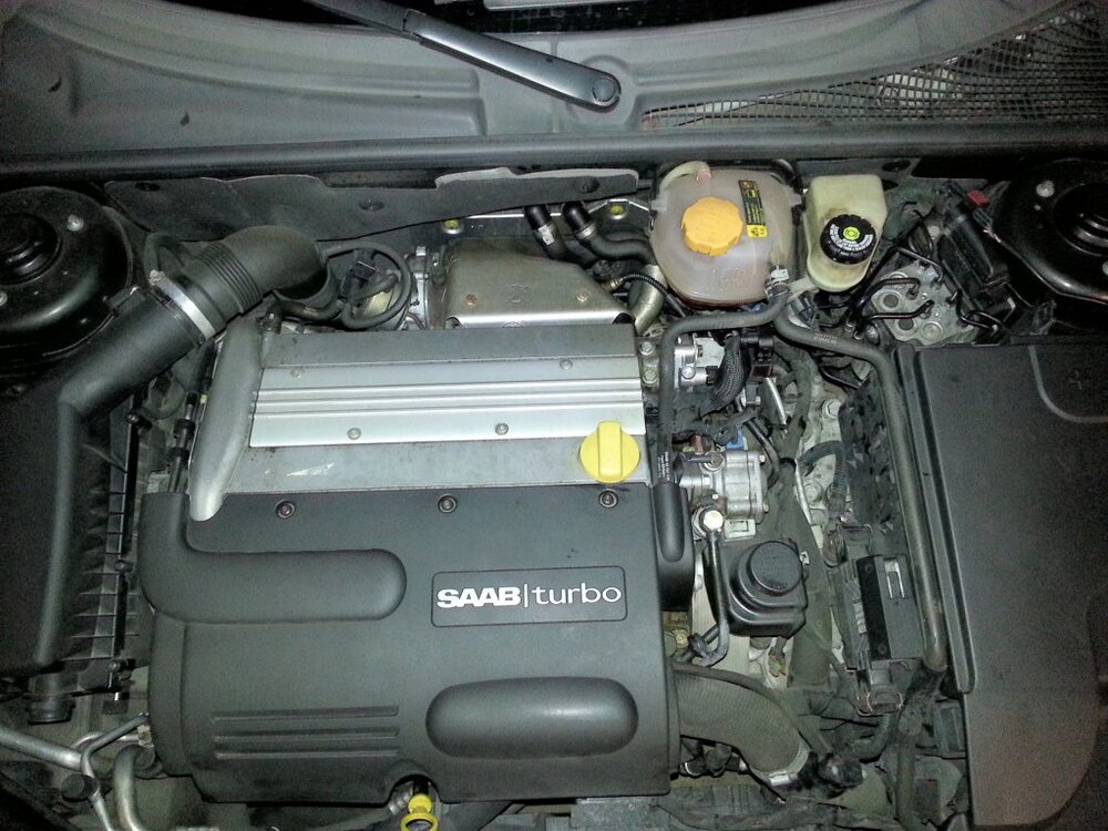 20130405_112013.thumb.jpg.1c8d30b12057d3bde5875f635cef7516.jpg