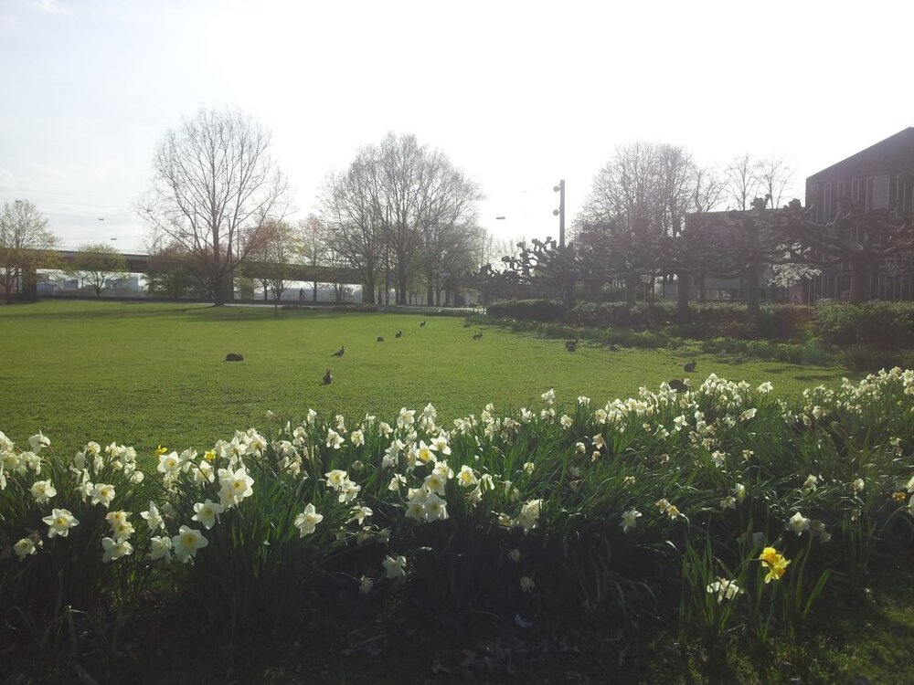 20130418_175412.thumb.jpg.e68ea5b806924e74bb281bb93f4f6e55.jpg