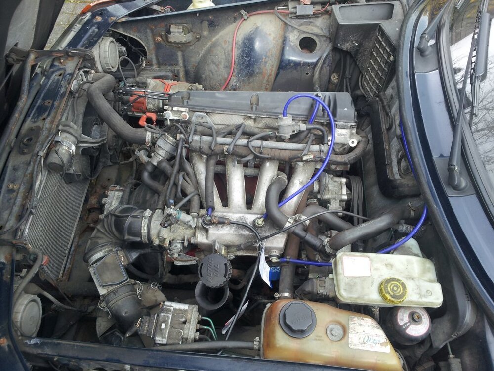 20130423_140732.thumb.jpg.407b96cd56614b345e05780186847c0b.jpg