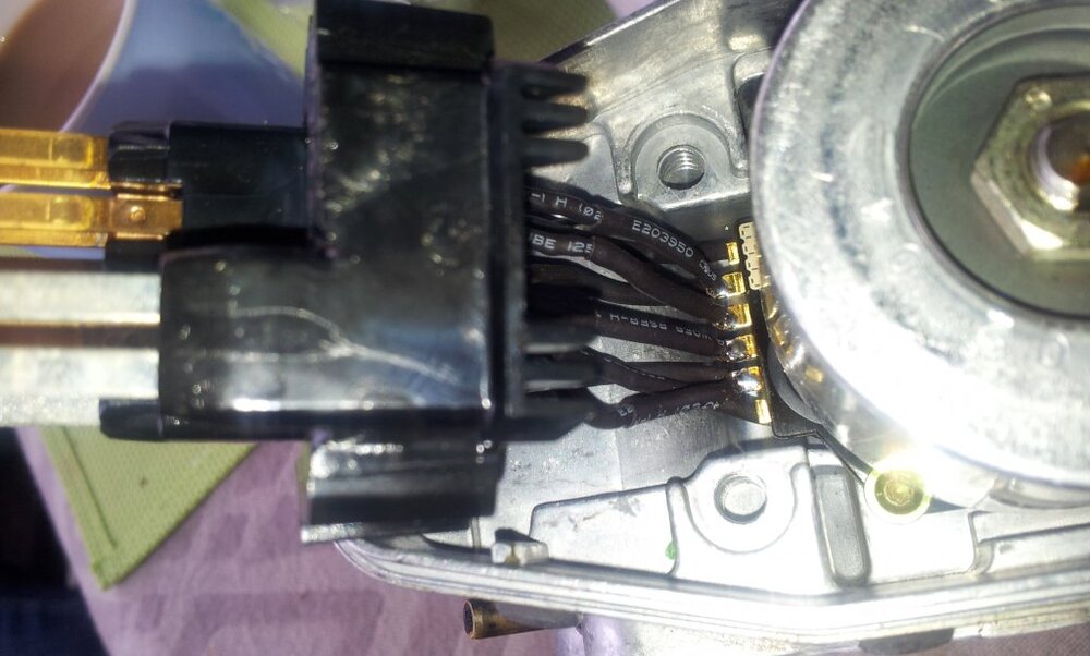 20130613_113516.thumb.jpg.9db3618ae81f04486e2e96fbb3f14df6.jpg