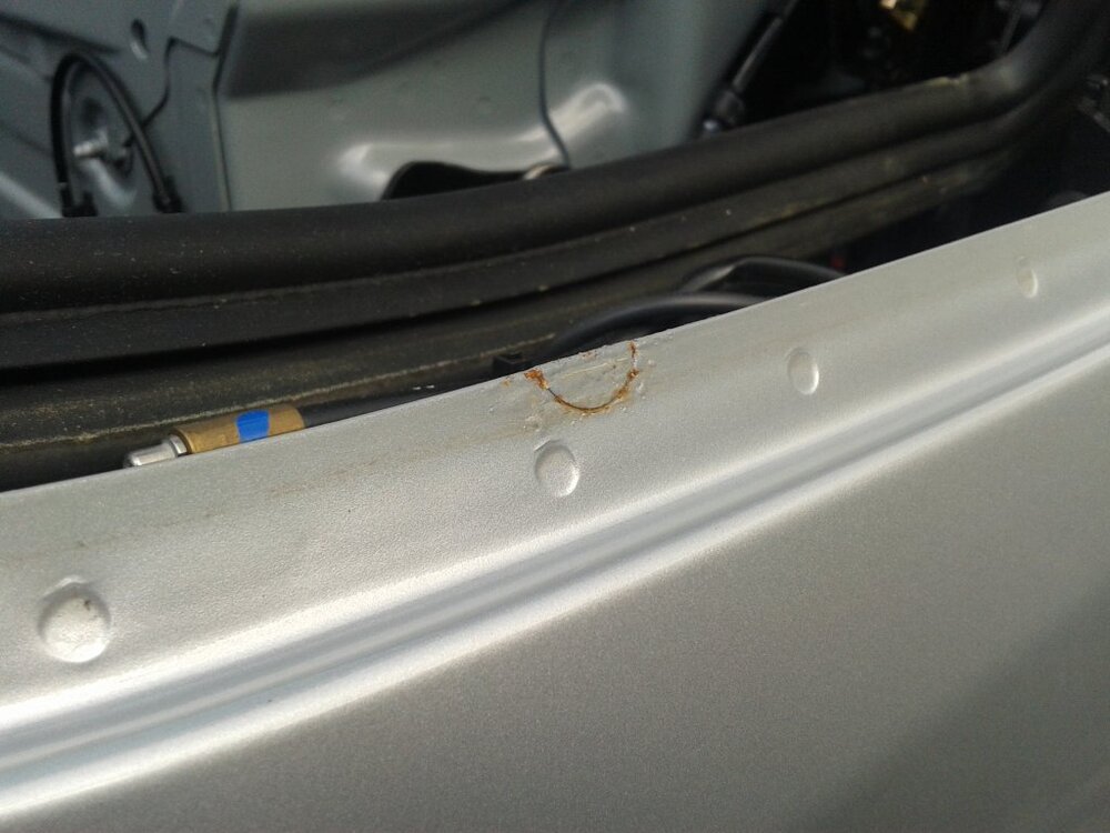 20130829_1410441.thumb.jpg.7135757ee2dd63486cc90fe976c36e3c.jpg