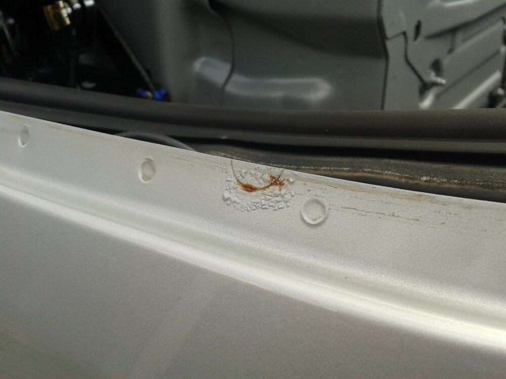 20130829_1411281.thumb.jpg.ee9b4317e50d7b8ac29aeea6d3a0023c.jpg