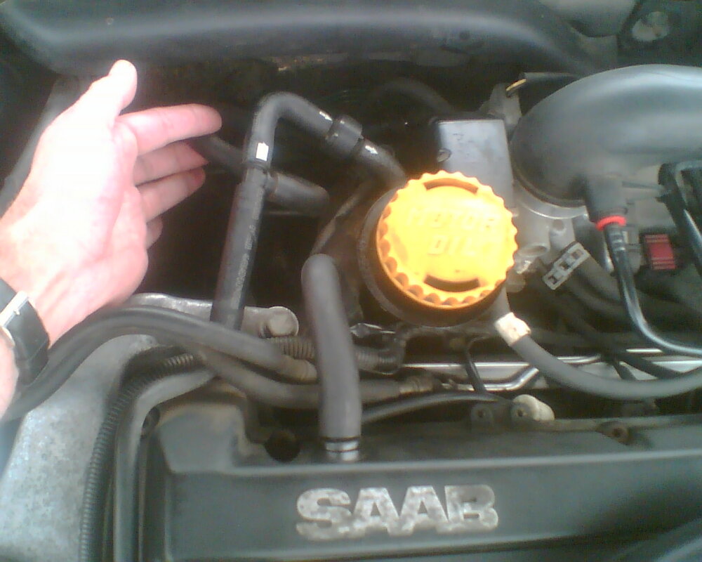 2013_0010.thumb.jpg.2c0ef522039a7cfe5537882c213d84c6.jpg