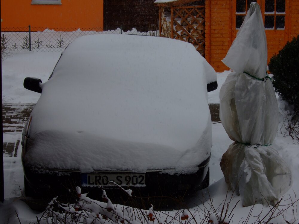 2013_0310_130010.thumb.JPG.0361761371ce05123cc9662a6fda8251.JPG