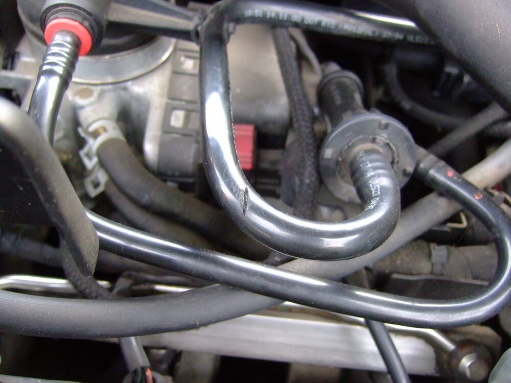 2013_0617_192254_hf.thumb.jpg.a34743ef6b5939222ce602f66588576a.jpg