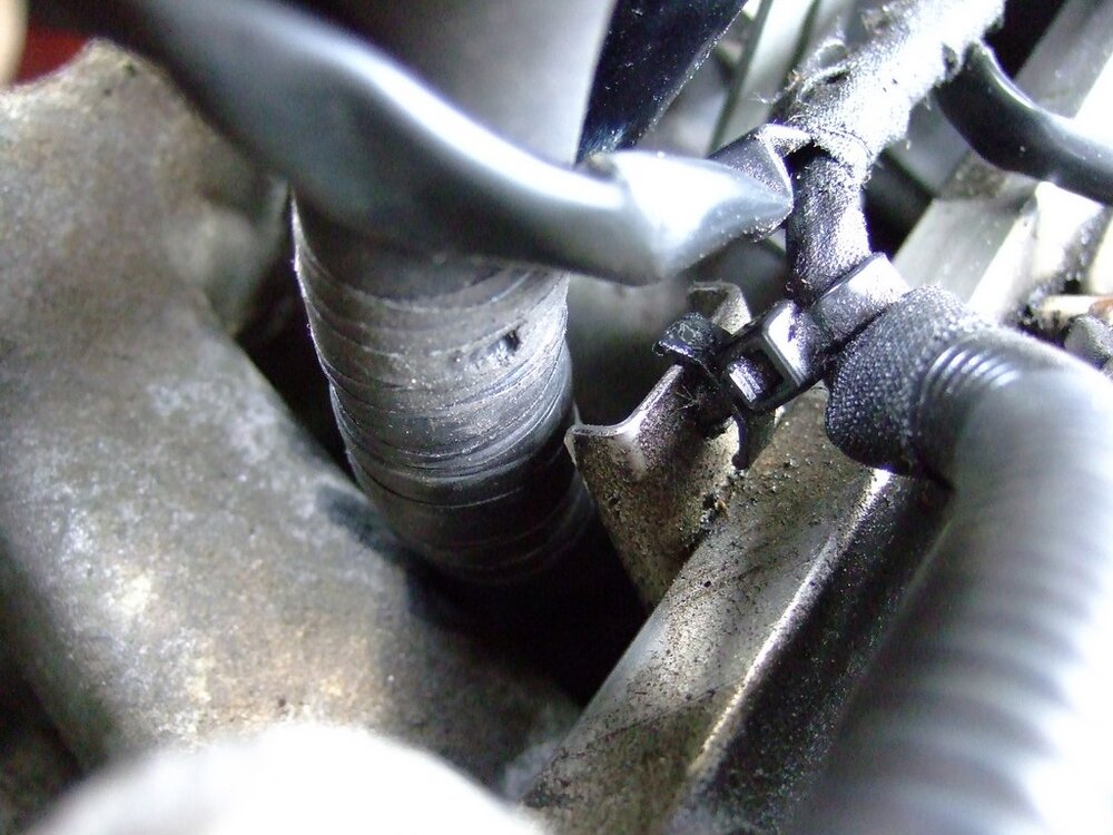 2013_0617_192659_hf.thumb.jpg.a1587126670290a284d352a1d4cb0550.jpg