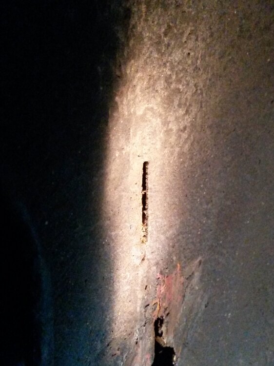 20150103_164339.thumb.jpg.b6bfa4948fe6c2f2f596e22e10bd8886.jpg