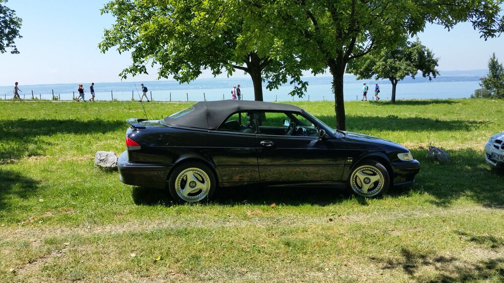 20150605_120928.thumb.jpg.ac8e1617092f895e010db45d2d0ad3b6.jpg