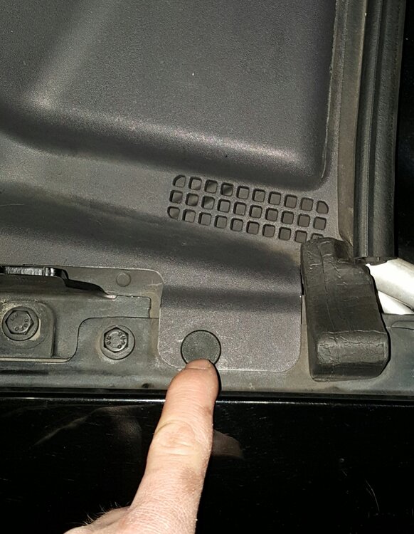 20160403_004014-1.thumb.jpg.0ad5fd3862db9b3c33b758b8273197d8.jpg