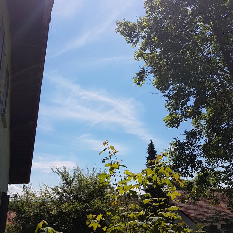 20160717_124228.thumb.jpg.02d9297bf952816e67a81985842ad038.jpg