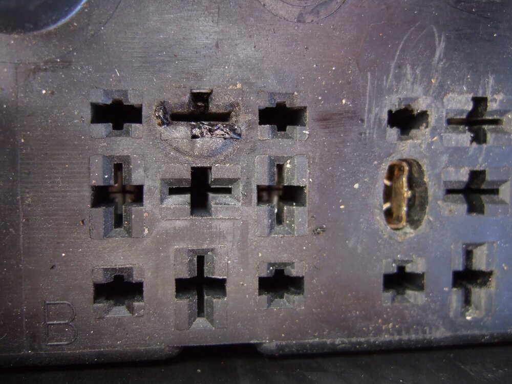2016_0228_124658.thumb.JPG.564fda402a098e2489eeb91c96ceec82.JPG