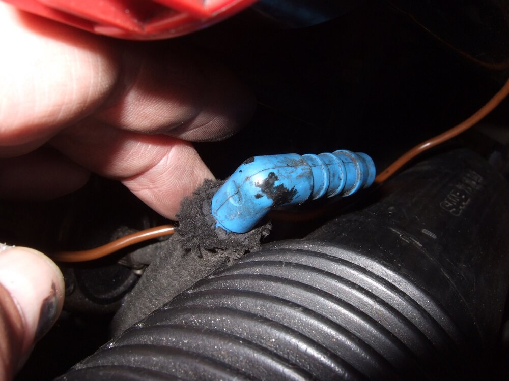 2016_0617_172951.thumb.JPG.05ec96c14d0b32a54e8efda2d8ecb5fc.JPG