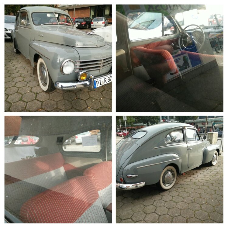 20170927_211538-COLLAGE.thumb.jpg.547330fa8f384089ee6ac76dadbdb113.jpg