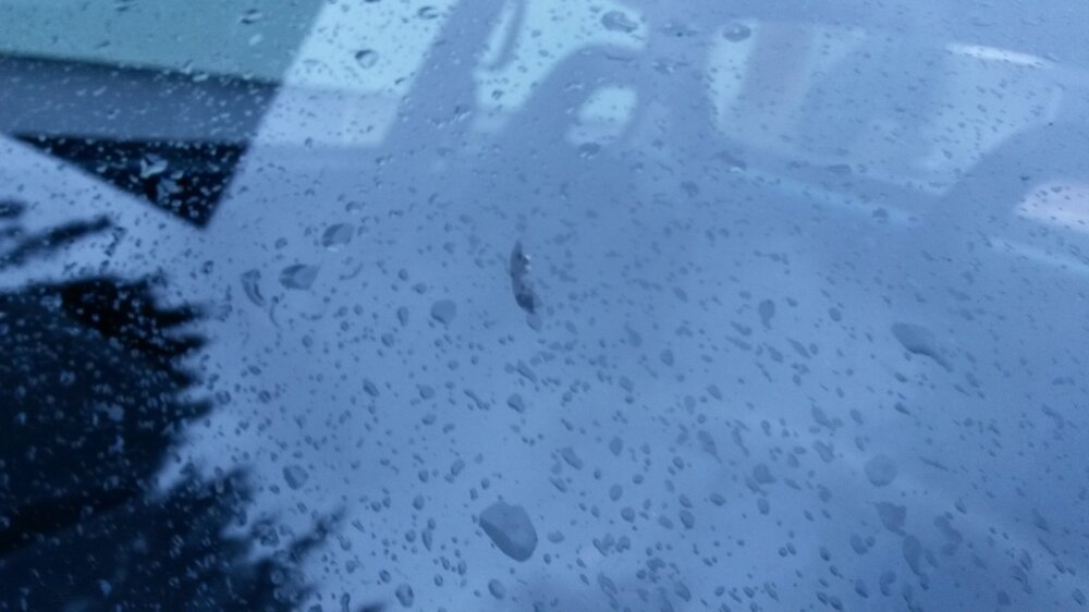 20180105_103127.thumb.jpg.c525baf3b4c018365ebd8f1302791006.jpg