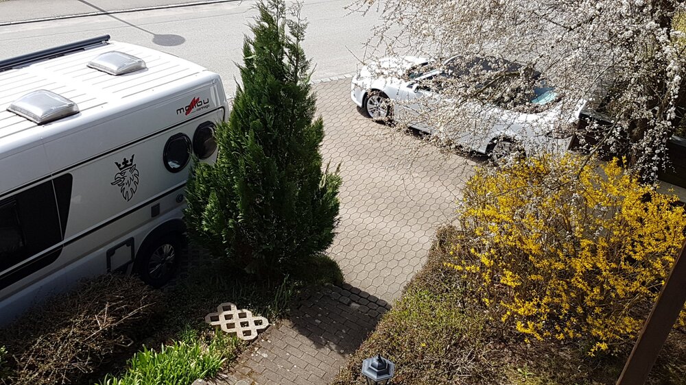 20180414_115207.thumb.jpg.fd4e1aa511322f0a6da1e3be8b5f8732.jpg