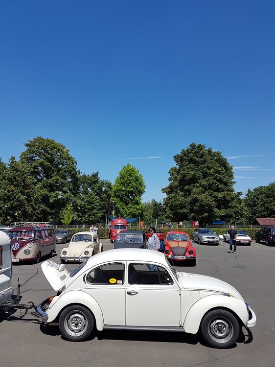 20180715_142817.thumb.jpg.79922a530cb2f90dcefcec4f0130269e.jpg