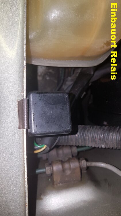 20190302_222401.thumb.jpg.7b96e49c396ccda2004230088181c411.jpg
