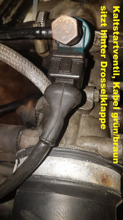 20190302_Kaltstartventil.thumb.jpg.f509b9c735b3f2ba9aaf3ce9b9d5a2ea.jpg