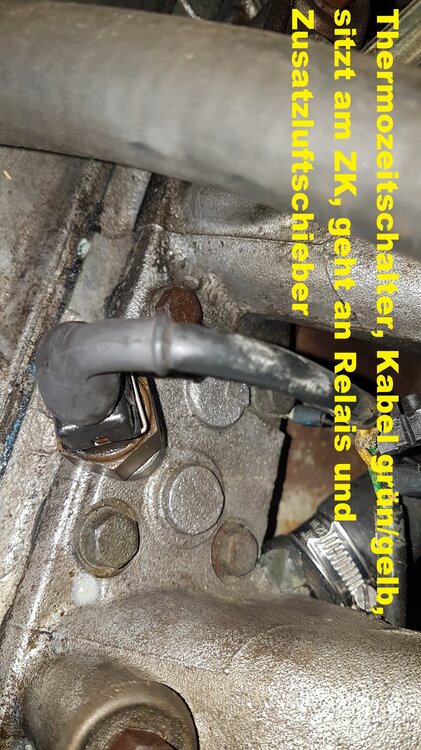 20190302_Thermozeitschalter.thumb.jpg.a5bf627e0eaa4e011bc6ae95562a29d4.jpg