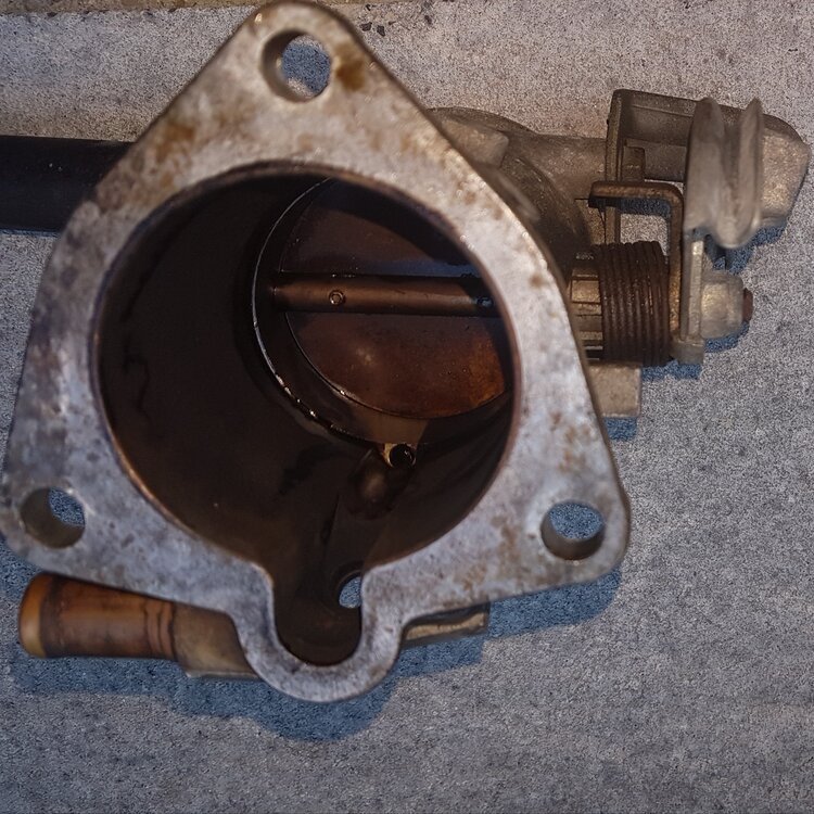20190519_200050.thumb.jpg.d6ba894b51da4647b291a2ad3da49c27.jpg