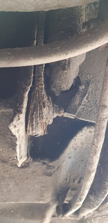20190526_175138.thumb.jpg.365fa9662b5f700c6dc44a901a4cbfa5.jpg