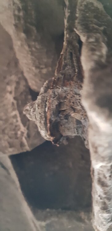 20190526_175148.thumb.jpg.3a5829adaa5abd9a8b5b8ba37ac794cd.jpg