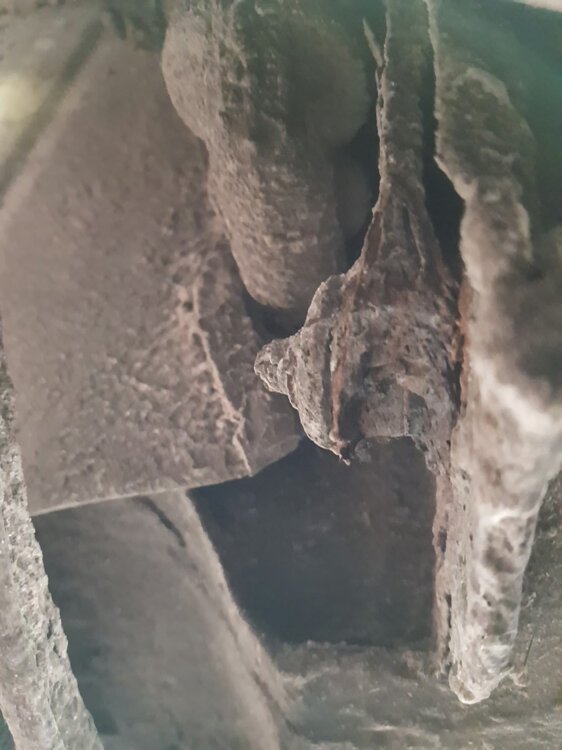 20190526_175250.thumb.jpg.666c73ad4e9af0c67b08d20c77820d0c.jpg