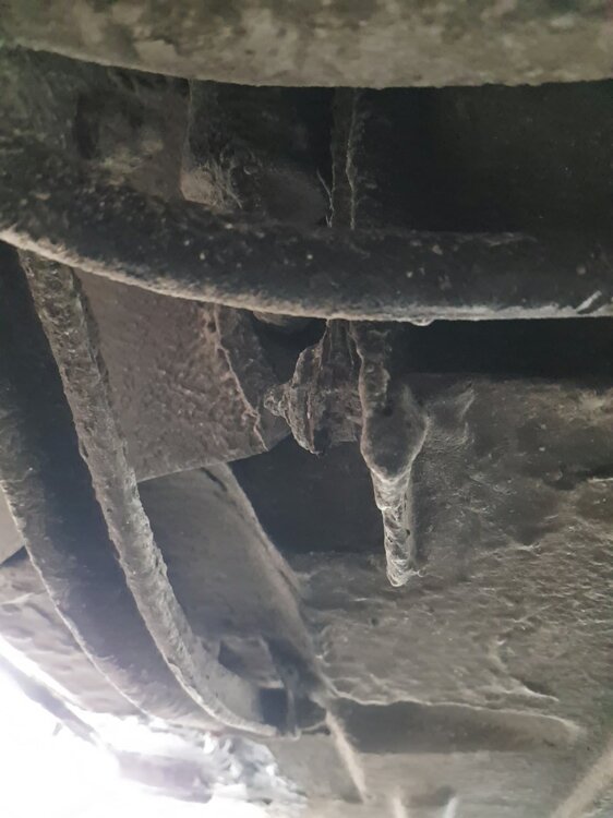 20190526_175256.thumb.jpg.ed2b0699c73259d13db6c3272ceae671.jpg