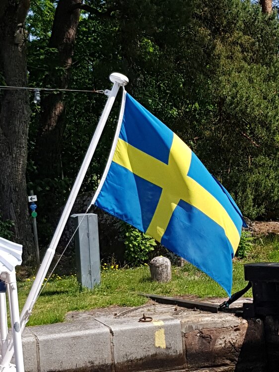 20190604_125513.thumb.jpg.b0018acb567f710abd85cedf23c781f4.jpg