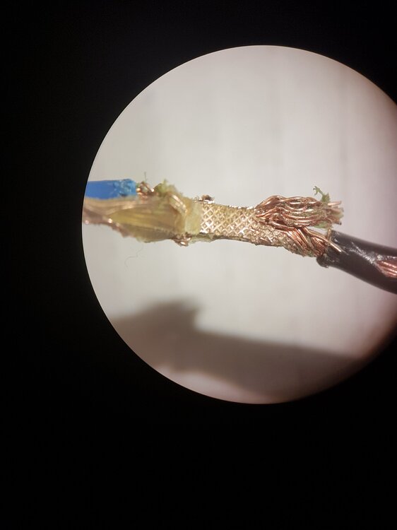 20190709_075025.thumb.jpg.84b04fc545846b99c597ec86d5305b09.jpg