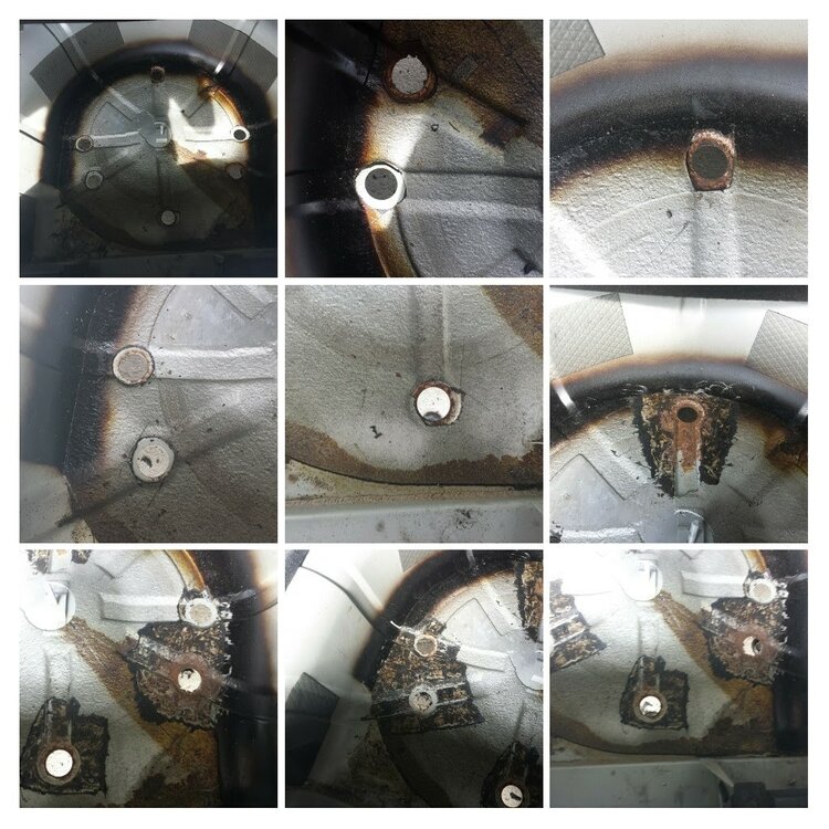 20200621_095102-COLLAGE.thumb.jpg.f8fa71c494b658b294a261f94a1008f7.jpg