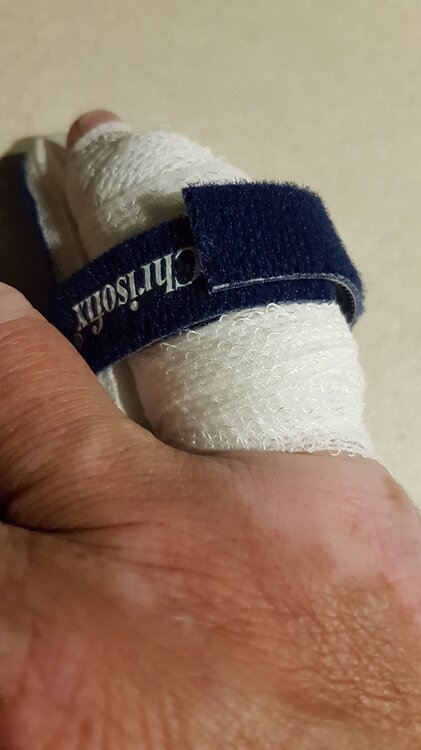 20200902_224841.thumb.jpg.6664c74ca16ec29f1e77069cd9dbfdaa.jpg