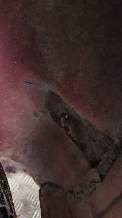 20201121_143330.thumb.jpg.1c54e95651079f7e422627f92bbfe85d.jpg