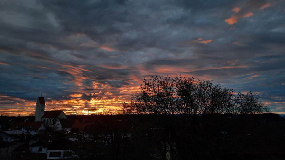 20201223_080201.thumb.jpg.e98b55cbfd5dba088e11472ff1e0afb6.jpg